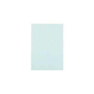 JTX 381341)色画用紙 8ツ切10枚 うすみずいろ   ( P148J-8 ) プラス(株)...