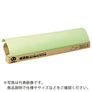 JTX 830348)模造紙プルタイプ20枚方眼うぐいす ( P154J-G ) プラス(株) (メーカー取寄)｜orangetool