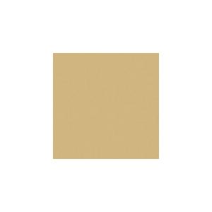 JTX 365301)単色おりがみアイボリ- 100枚  ( B260J-41 ) プラス(株) (...