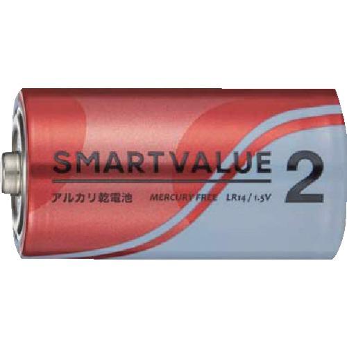 JTX 366067)アルカリ乾電池単2×10本   ( N122J-2P-5 )