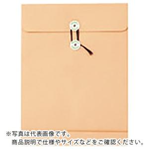 JTX 192333)保存袋 角2 250枚 ( P602J-K2-250 ) プラス(株) (メーカー取寄)｜orangetool