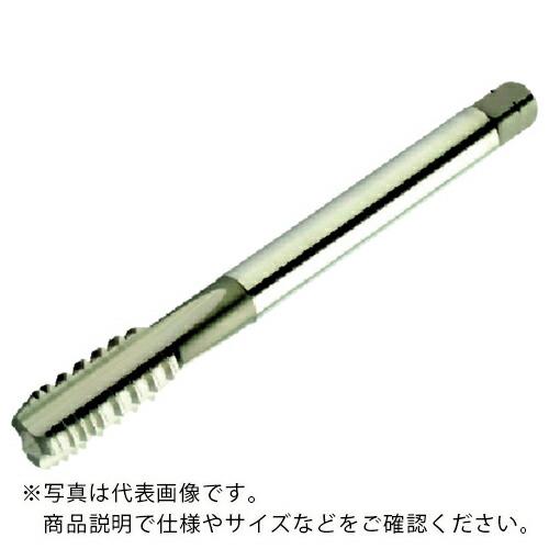SANDVIK コロタップ100 ストレートタップ(780) D150 ( T100-NM101DA...