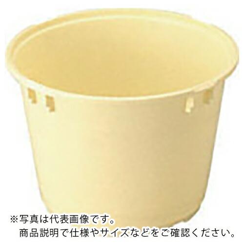 サンコー サンコータル#5 400505 クリーム ( 400505CL00 C ) (メーカー取寄...