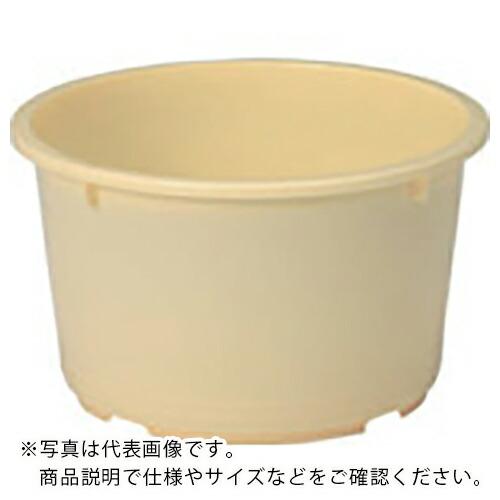 サンコー サンコータル#5平(本体) 400504 クリーム ( 400504CL00 C ) (メ...