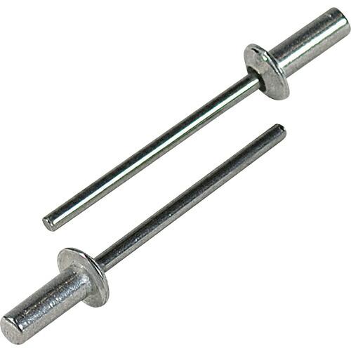 エビ ブラインドリベット(シールドタイプ) アルミニウム/スティール製 6-2(30本入) エコパッ...