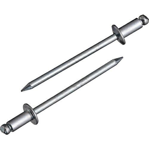 エビ ブラインドリベット(スティール/スティール製) 4-1(65本入) エコパック ( NS41M...