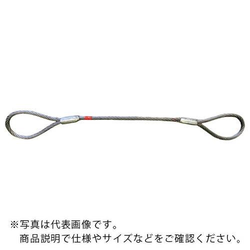 中村工業　ハイクロスロープ　両アイテーパートヨロックロック加工　１０ＭＭＸ５．０Ｍ ( HX2L 1...