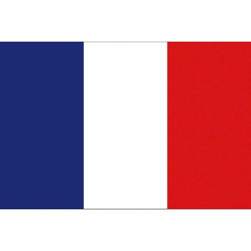 東京製旗 国旗No.1(70×105cm) フランス ( 416647 ) 東京製旗(株)