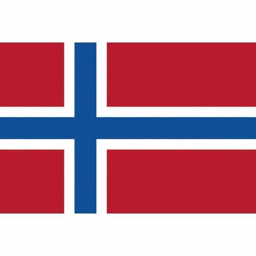 東京製旗 国旗No.1(70×105cm) ノルウェ- ( 416581 ) 東京製旗(株)