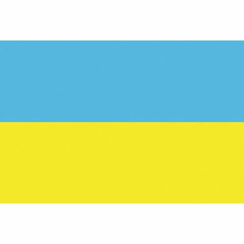 東京製旗 国旗No.1(70×105cm) ウクライナ ( 416142 ) 東京製旗(株)