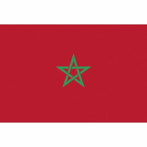 東京製旗 国旗No.1(70×105cm) モロッコ ( 416786 ) 東京製旗(株)