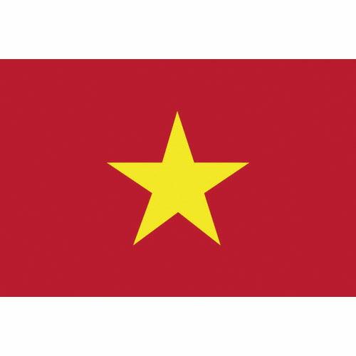 東京製旗 国旗No.2(90×135cm) ベトナム ( 426661 ) 東京製旗(株)