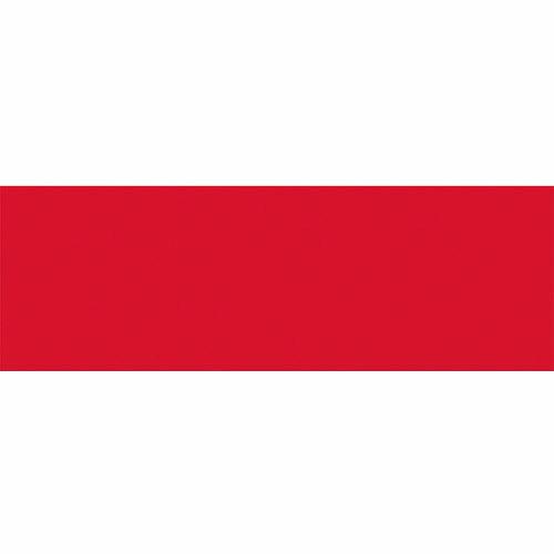 東京製旗 国旗No.2(90×135cm) ポ-ランド ( 426682 ) 東京製旗(株)