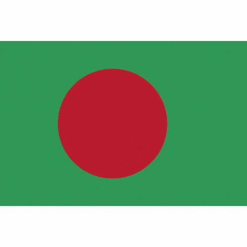 東京製旗 国旗No.2(90×135cm) バングラディシュ ( 426615 ) 東京製旗(株)