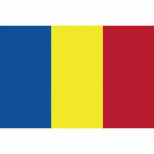 東京製旗 国旗No.2(90×135cm) ルーマニア ( 426852 ) 東京製旗(株)