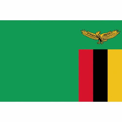 東京製旗 国旗No.2(90×135cm) ザンビア ( 426304 ) 東京製旗(株)