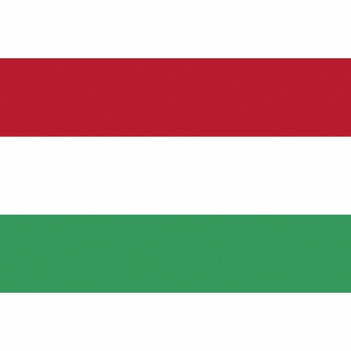 東京製旗 国旗No.2(90×135cm) ハンガリー ( 426614 ) 東京製旗(株)