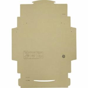 【SALE価格】キングコーポ ポストインカートン A4 50枚入 ( 190431 ) (株)キングコーポレーション｜orangetool
