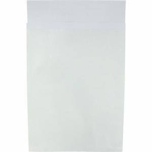 【SALE価格】キングコーポ ポストイン定形外封筒 片艶クラフト 100ガゼット貼(335×250×30) ( 190421 ) (株)キングコーポレーション｜orangetool