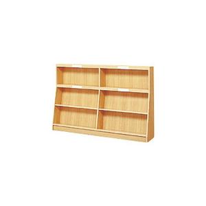 PLUS 23105)傾斜書架(片面型) ( TJ-B23KK ) プラス(株) (メーカー取寄)｜orangetool