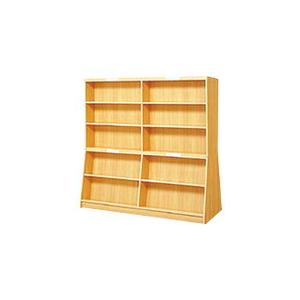 PLUS 23003)傾斜書架(両面型) ( TJ-A25KR ) プラス(株) (メーカー取寄)｜orangetool