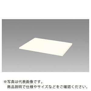 NAIKI 収納庫 CW型 天板 (両面・片面兼用 20mm厚)ホワイト ( CW-600TPU-H )｜orangetool