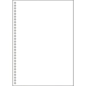 ヒサゴ FSC認証 マルチプリンタ帳票 A4 白紙 30穴 ( FSC2049Z )｜orangetool