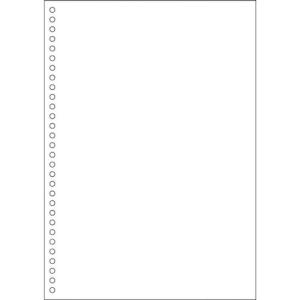 ヒサゴ マルチプリンタ帳票 エコノミープライス A4 白紙30穴 ( BPE2049 )｜orangetool