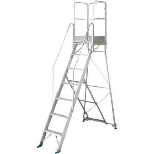 ハセガワ ライトステップ DAD型 2.1m(1100手摺付) ( DAD-210-1100 ) 長谷川工業(株) (メーカー取寄)｜orangetool