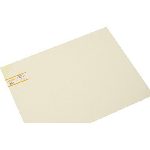 光 エンビ板 アイボリー1×450×600mm ( EB461-21 ) (株)光