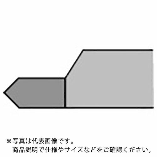 【SALE価格】SANWA 切削工具 超硬バイト 13形 25×25×180 M20 M20 ( 1...