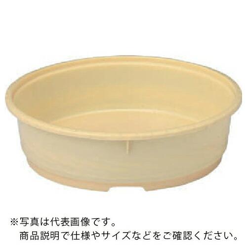 サンコー 化粧桶 400204 #7.5(本体) クリーム ( 400204CL00 C )