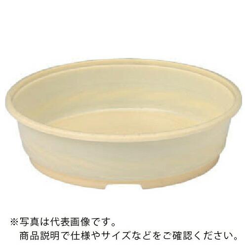 サンコー 化粧桶 400206 #8.5(本体) クリーム ( 400206CL00 C )