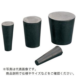 IWATA 円錐プラグA EPDM (10個入) ( HBAE25-2-P ) (株)岩田製作所 (メーカー取寄)｜orangetool