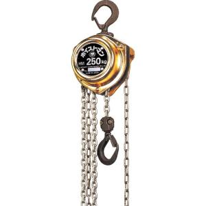 OH 電動ワイヤーホイスト50Kg ( DWH-50 ) : ORANGE TOOL TOKIWA - 通販