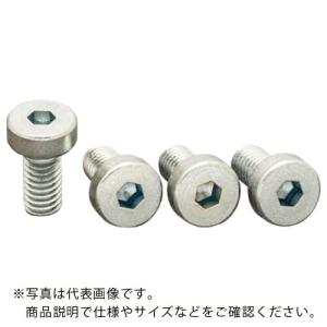 IWATA 真空パッドブラケット用 六角穴付低頭ボルト(4個入) ( RPT0408U ) (株)岩田製作所 (メーカー取寄)｜orangetool