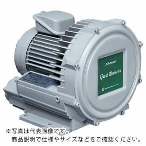 昭和 電動送風機 渦流式高圧シリーズ ガストブロアシリーズ(0.2kW) ( U2V-20T )｜orangetool