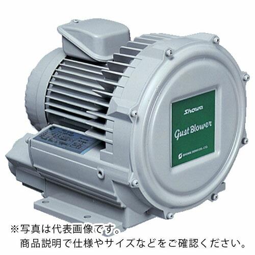 昭和 電動送風機 渦流式高圧シリーズ ガストブロアシリーズ(1.5kW) ( U2V-150 )