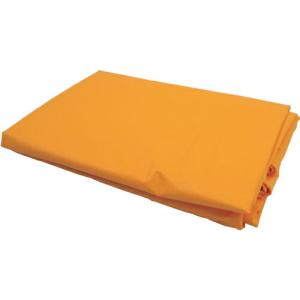グリーンクロス 防炎・防水トラックカラーシート オレンジ ( 6300005290 ) (株)グリーンクロス (メーカー取寄)｜orangetool