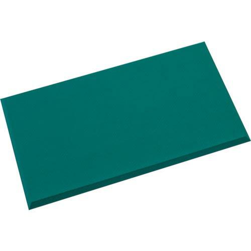 テラモト 制電クッションマット 450×750mm ( MR-939-645-0 ) (株)テラモト