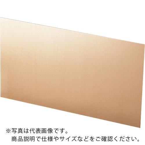 タカチ リン青銅板 ( RP-2 ) (株)タカチ電機工業 (メーカー取寄)