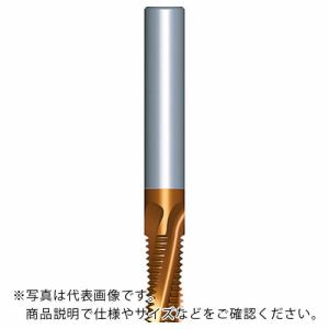 NOGA 超硬ソリッドミルスレッドNPT ( 1212D20 14NPT MT-7 ) カーメックス社｜orangetool