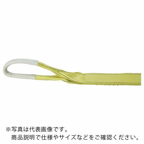 TRUSCO ポリエステルスリング JIS3級 両端アイ形 100mmX2.0m ( TPS100-...