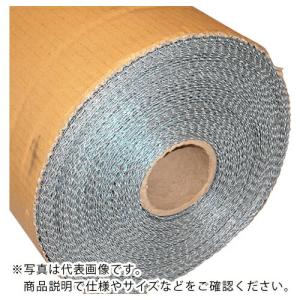 WAKI 金網亜鉛平織 19X8X455X30M  ( 102163800 )｜orangetool
