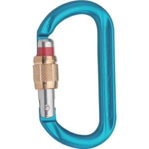 ALPIN カラビナ OVALO スクリューロック 線径12.5 グリーン ( KA13B-B-GI )｜orangetool
