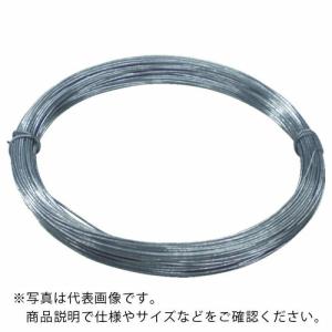 TRUSCO スチール針金 小巻タイプ #30 線径0.3mm×20m 溶融亜鉛メッキ ( TYWS-03 ) トラスコ中山(株)｜orangetool