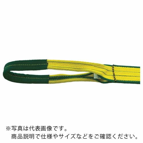 ロックスリング シグマ A-1 25mm×1.0m(両端アイ形) ( A-1 25X1.0 ) 明大...