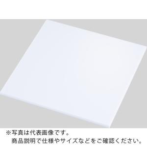 IWATA PET板(白) 1mm ( PEPW-200-200-1 )｜orangetool