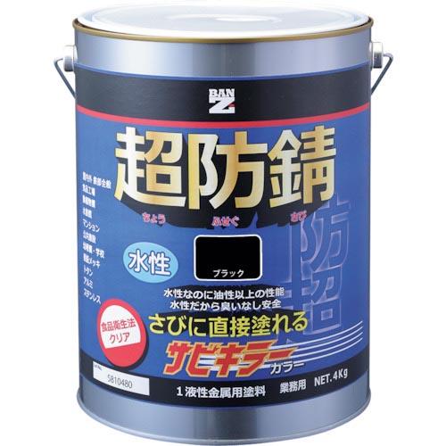 BANーZI 防錆塗料 サビキラーカラー 4kg 黒 N-10  ( B-SKC/K04B )