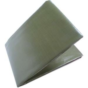 萩原 【売切廃番】 ターピーシート #3000(カラーシート) ODグリーン 1.8m×1.8 ( TPOD1818 ) 萩原工業(株)｜orangetool